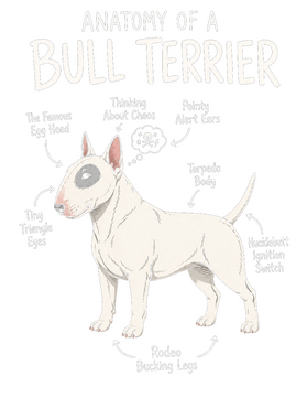 https://s3.us-west-1.wasabisys.com/ecart-content/wonderfulshirts.com/overlays/403/931/40393190.png img