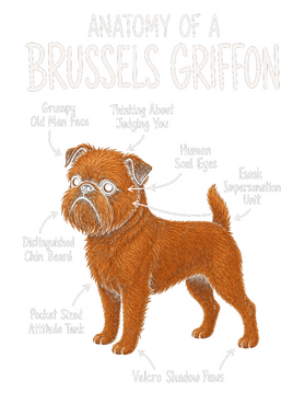 https://s3.us-west-1.wasabisys.com/ecart-content/wonderfulshirts.com/overlays/403/932/40393213.png img