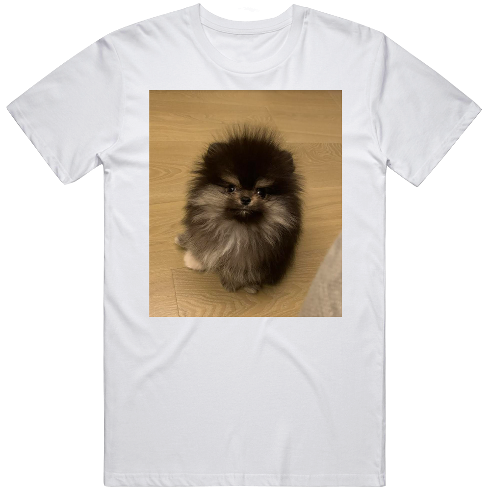 front preview