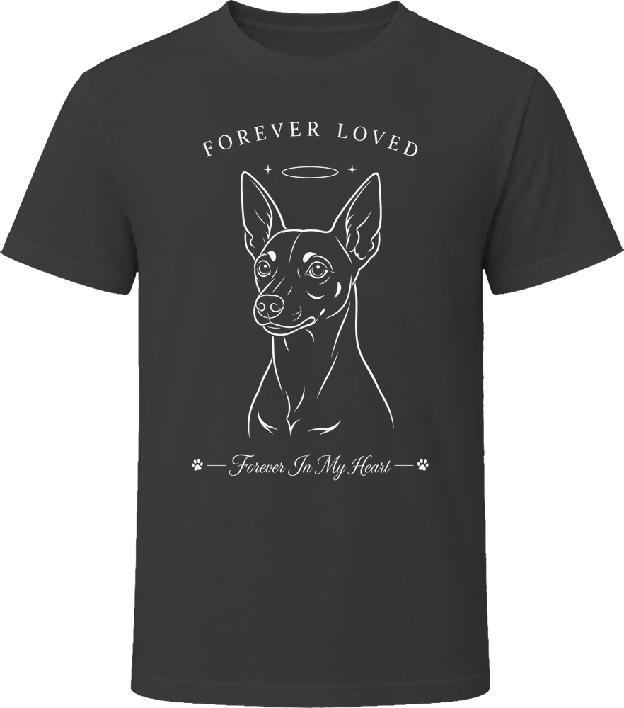 front preview