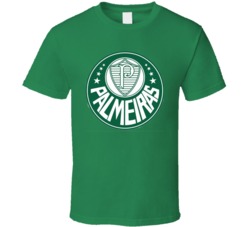 Sociedade Esportiva Palmeiras Campeonato Brasileiro Soccer Team Footba