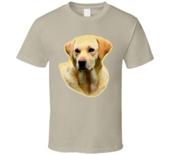 Hangover Alan Allen Golden Retriever Allan T Shirt Hangover Alan Allen Golden Retriever Allan T Shirt