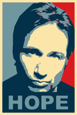 overlay