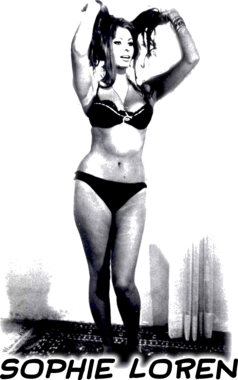 https://s3.us-west-1.wasabisys.com/ecart-content/yeoldeshirtshop.com/overlays/217611.png img