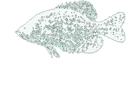 https://s3.us-west-1.wasabisys.com/ecart-content/yeoldeshirtshop.com/overlays/25361.png img