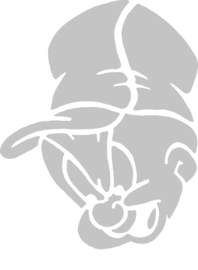 https://s3.us-west-1.wasabisys.com/ecart-content/yeoldeshirtshop.com/overlays/351/686/35168665.png img