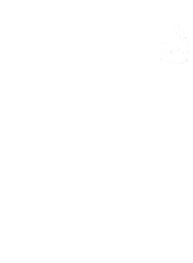https://s3.us-west-1.wasabisys.com/ecart-content/yeoldeshirtshop.com/overlays/358/454/35845405.png img