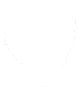 https://s3.us-west-1.wasabisys.com/ecart-content/yeoldeshirtshop.com/overlays/395/670/39567024.png img