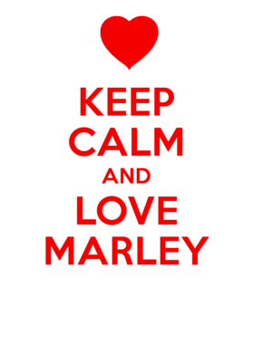 https://s3.us-west-1.wasabisys.com/ecart-content/yeoldeshirtshop.com/overlays/662/936/6629362.png img