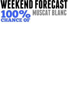 https://s3.us-west-1.wasabisys.com/ecart-content/yeoldeshirtshop.com/overlays/794/699/7946994.png img