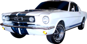 https://s3.us-west-1.wasabisys.com/ecart-content/yeoldeshirtshop.com/overlays/83810.png img