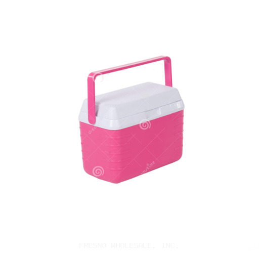 ICE CHEST SMALL SINGLE