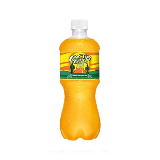 CACTUS COOLER 24/20Z