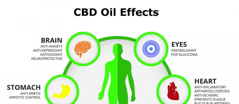 Organic CBD Oil