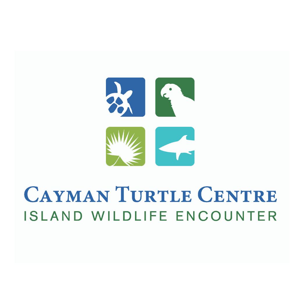 Cayman Turtle Centre