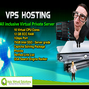 VPS for SEO software