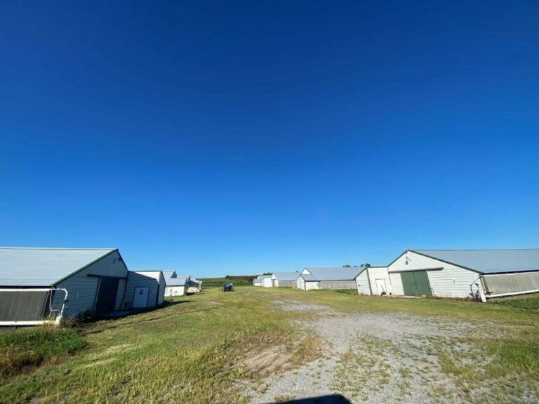 Traditional Listings Page 2 Herron Auctions