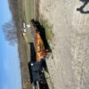 SPRING CONSIGNMENT AUCTION