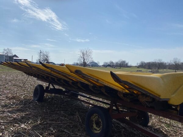 SPRING CONSIGNMENT AUCTION