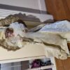 FURNISHINGS-COLLECTIBLES-TOOLS