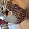 FURNISHINGS-COLLECTIBLES-TOOLS