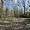 2445 SUMMIT DR, HENDERSON, KY