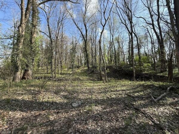 2445 SUMMIT DR, HENDERSON, KY