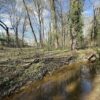 2445 SUMMIT DR, HENDERSON, KY