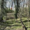 2445 SUMMIT DR, HENDERSON, KY