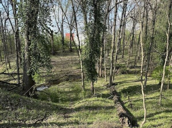 2445 SUMMIT DR, HENDERSON, KY