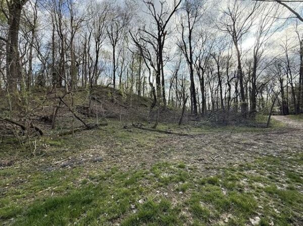 2445 SUMMIT DR, HENDERSON, KY