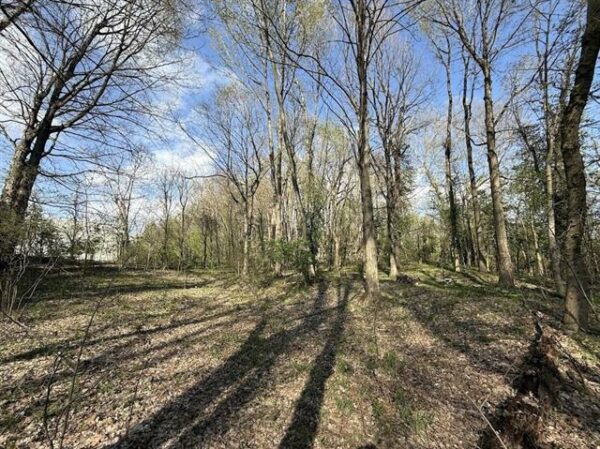 2445 SUMMIT DR, HENDERSON, KY
