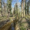 2445 SUMMIT DR, HENDERSON, KY