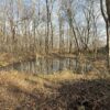 7313 Sulpher Springs Rd., Henderson, KY 42420