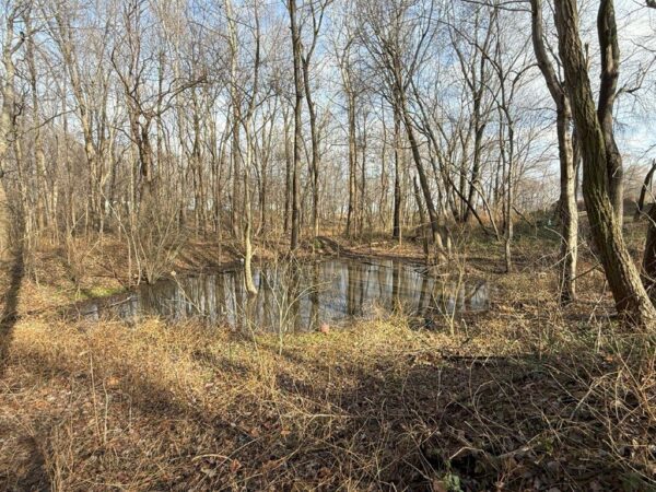 7313 Sulpher Springs Rd., Henderson, KY 42420