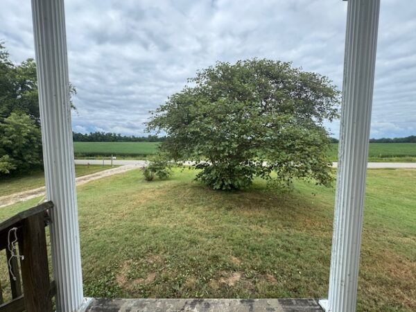 8544 HWY 268 CORYDON, KY 42406