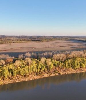 665 +/- ACRE FARM