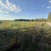 64 +/- ACRES