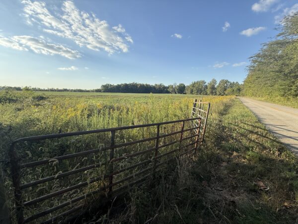 64 +/- ACRES