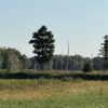 64 +/- ACRES