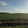 64 +/- ACRES