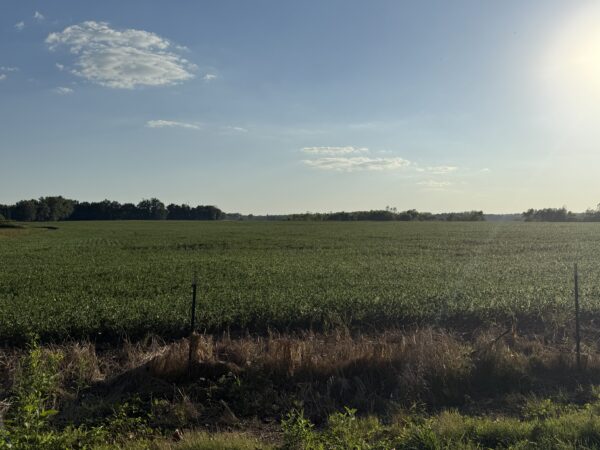 64 +/- ACRES