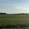 64 +/- ACRES