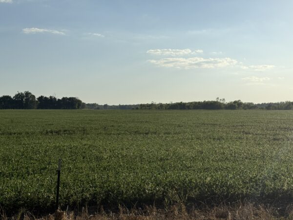 64 +/- ACRES