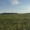 64 +/- ACRES