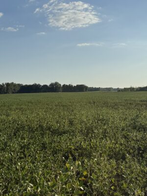 64 +/- ACRES