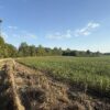 64 +/- ACRES