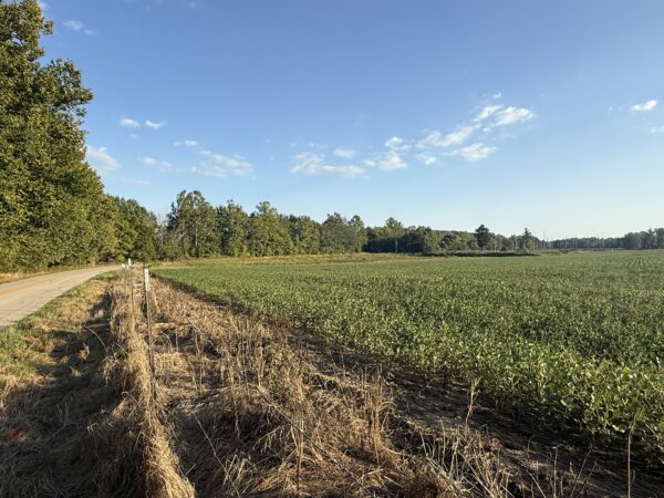 64 +/- ACRES