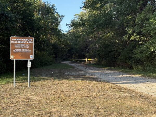 64 +/- ACRES