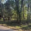 64 +/- ACRES